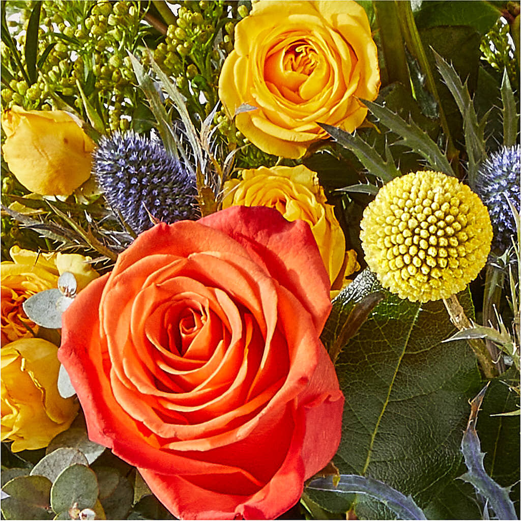 Disco Bouquet – FRY'S, Tolleson AZ