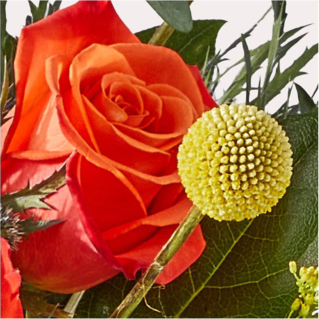 Disco Bouquet – FRY'S, Tolleson AZ