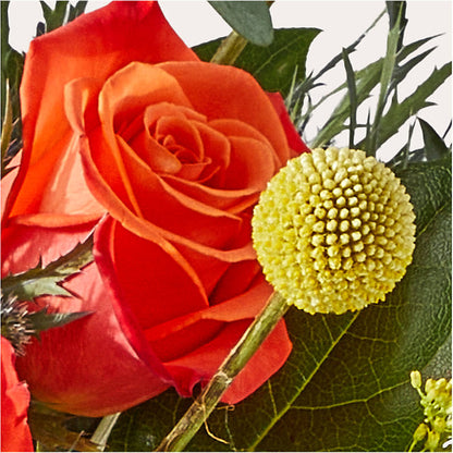 Disco Bouquet – FRY'S, Tolleson AZ