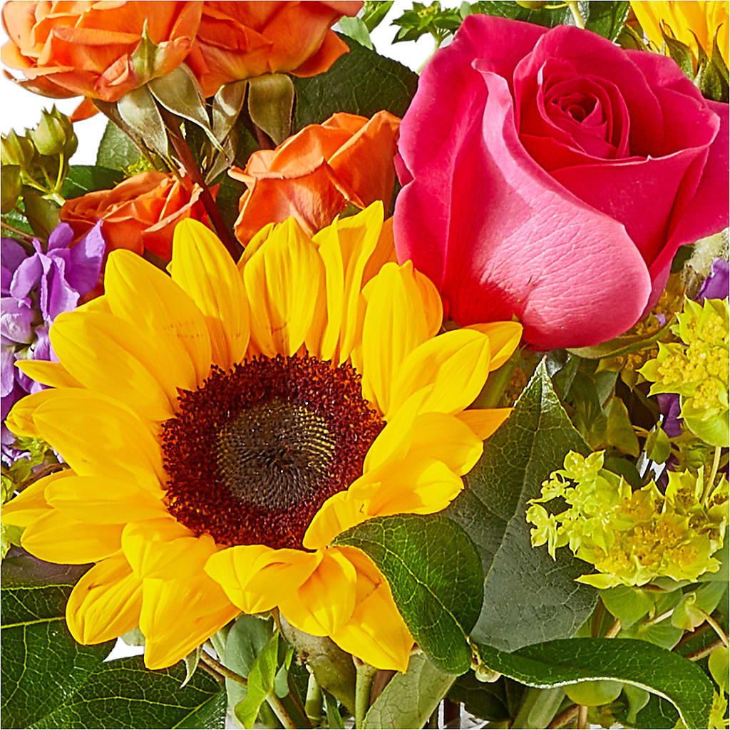 Vibrant Greetings Bouquet – FRY'S, Tolleson AZ