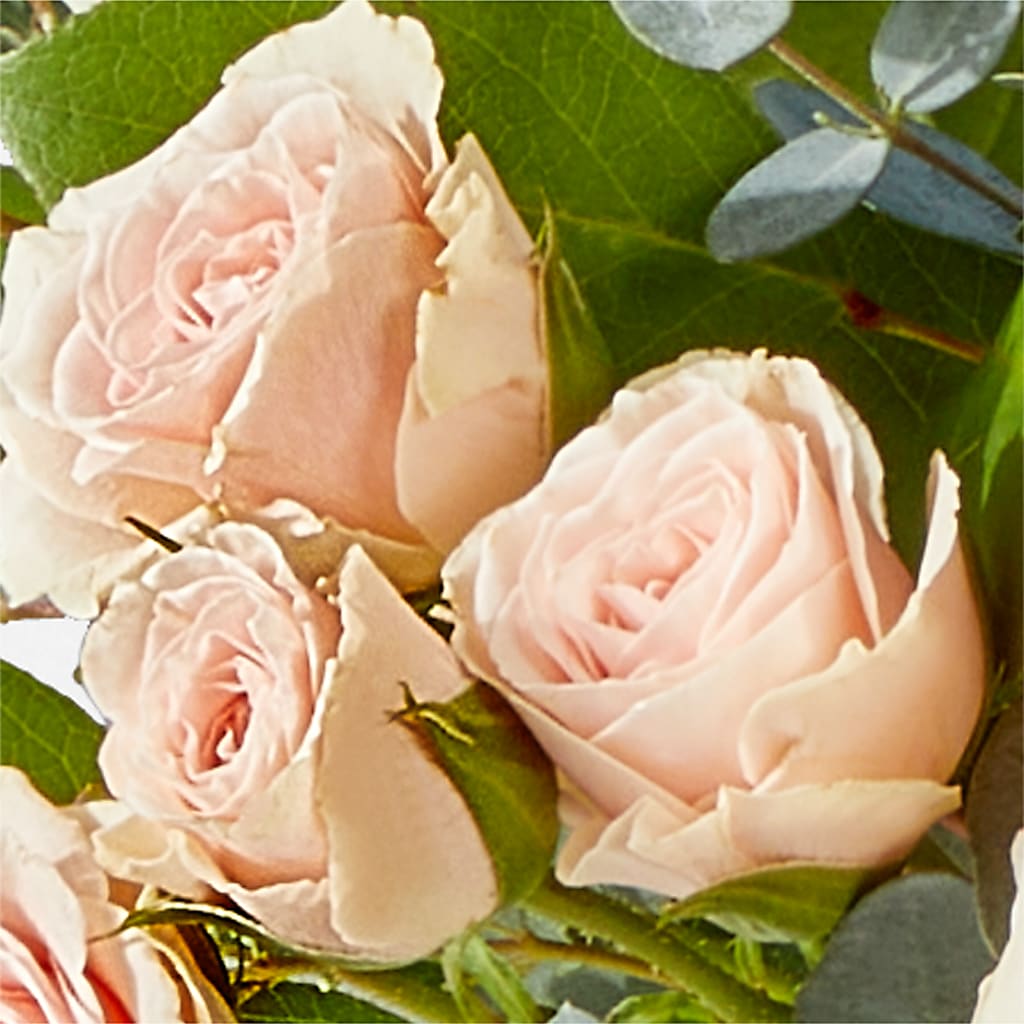Inspired Bouquet – FRY'S, Tolleson AZ