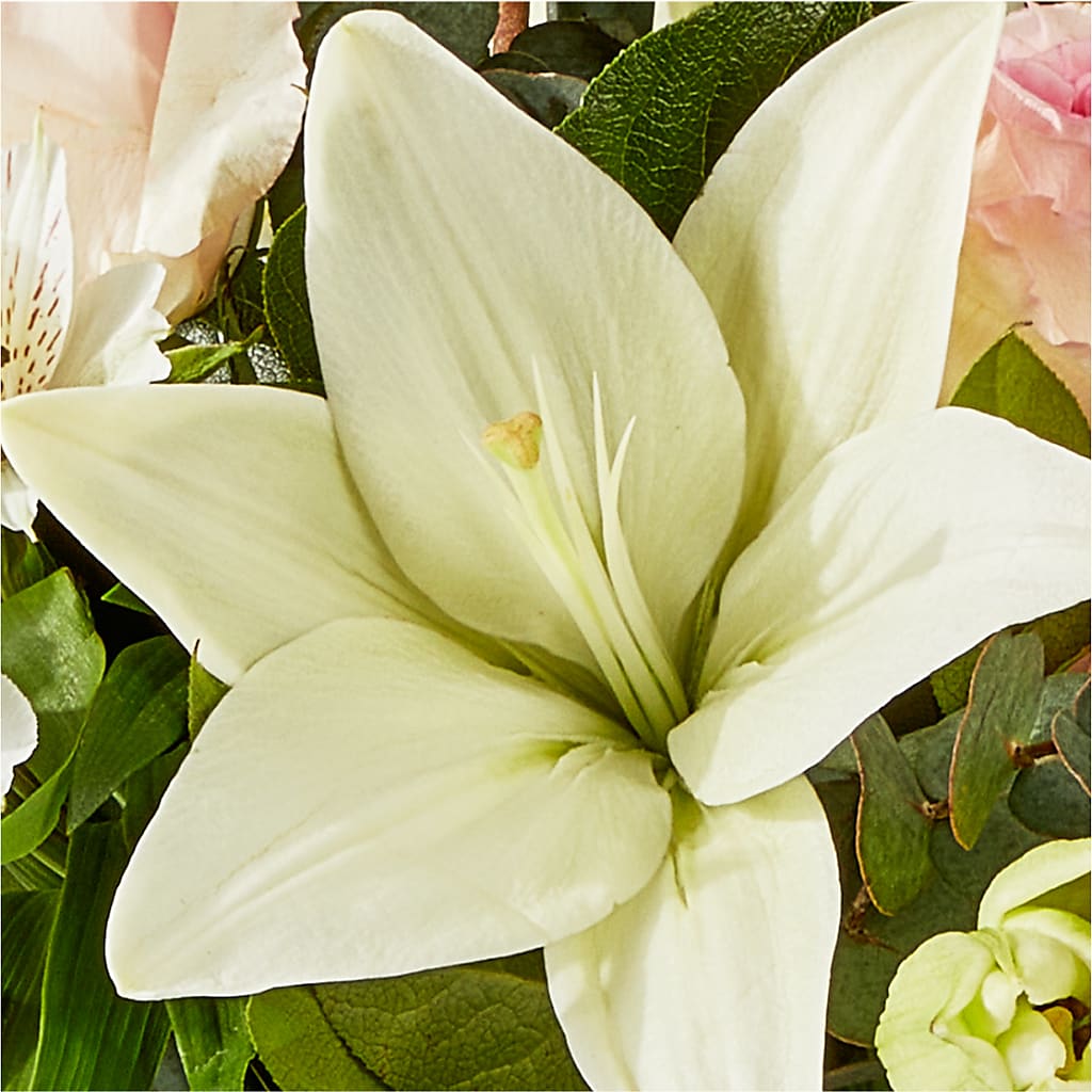 Ballet Slippers Bouquet – FRY'S, Tolleson AZ