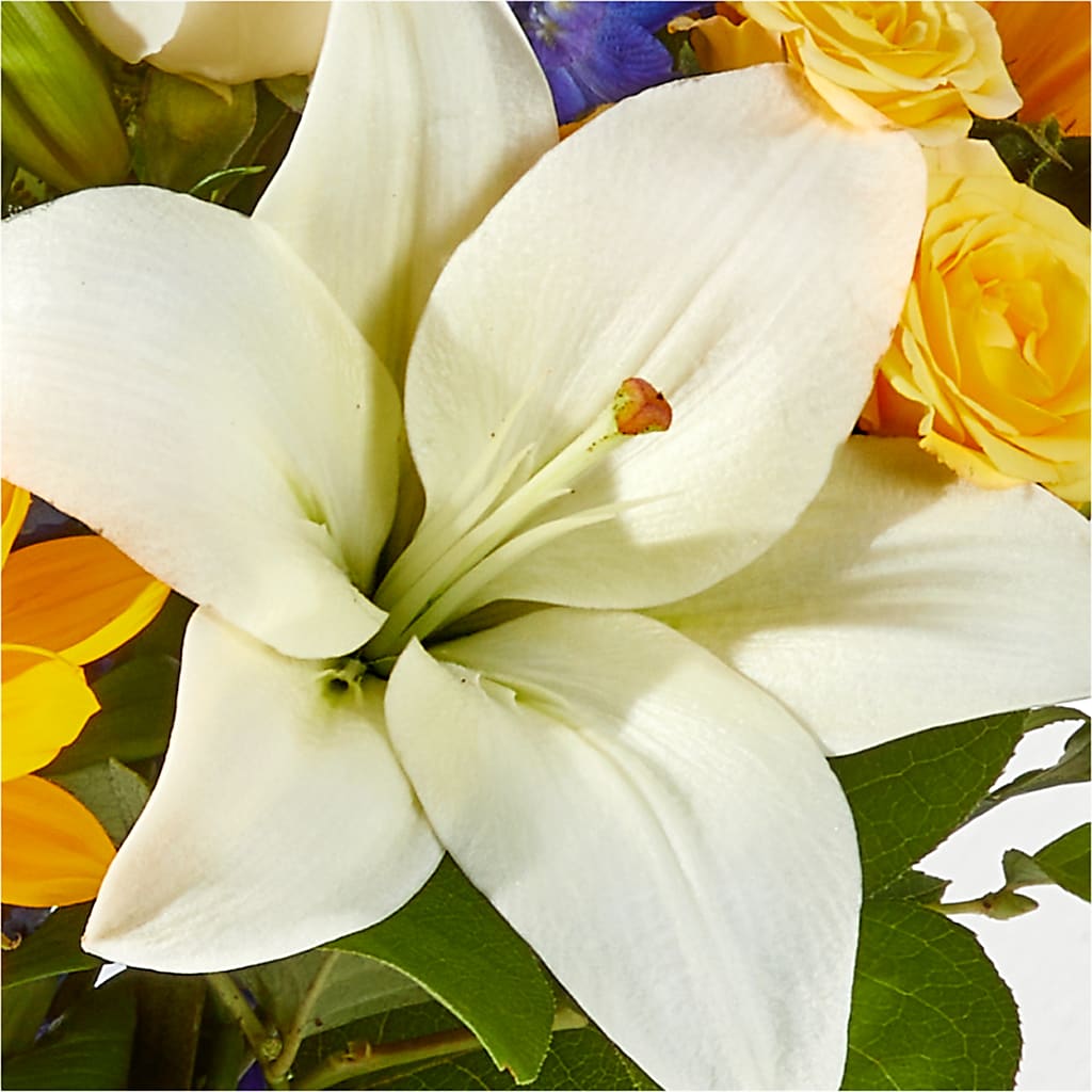 Wonderfully Sunny Bouquet – FRY'S, Tolleson AZ