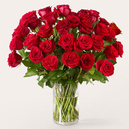 The One Red Rose Bouquet – FRY'S, Tolleson AZ