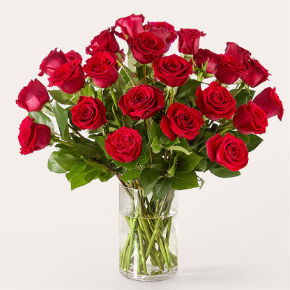 The One Red Rose Bouquet – FRY'S, Tolleson AZ